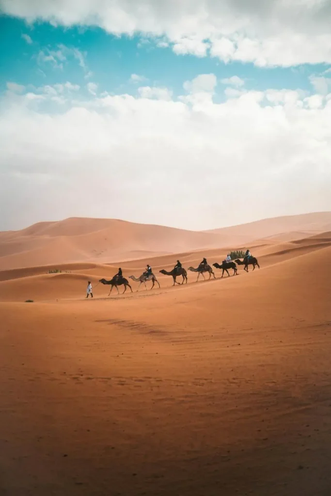 Sahara Desert