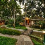 Destination Wellness