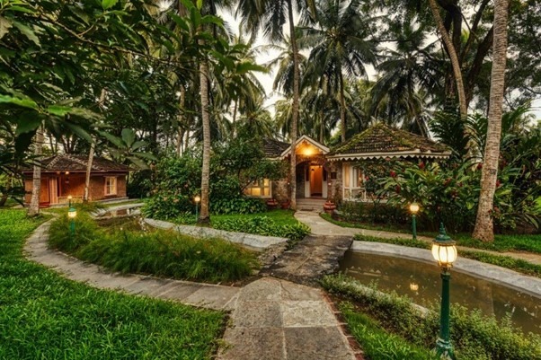 Destination Wellness