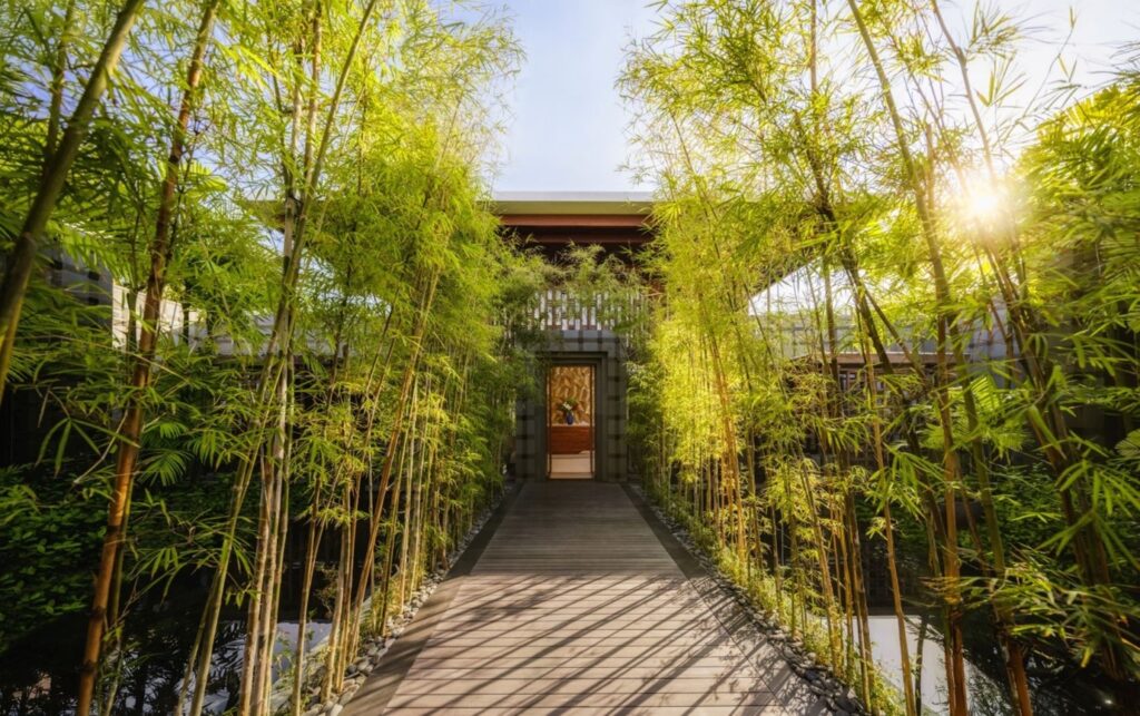 Destination Wellness